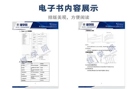 潍柴共轨燃油喷射系统内容展示