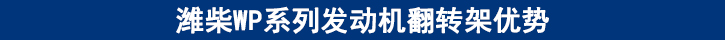 潍柴WP系列发动机翻转架优势